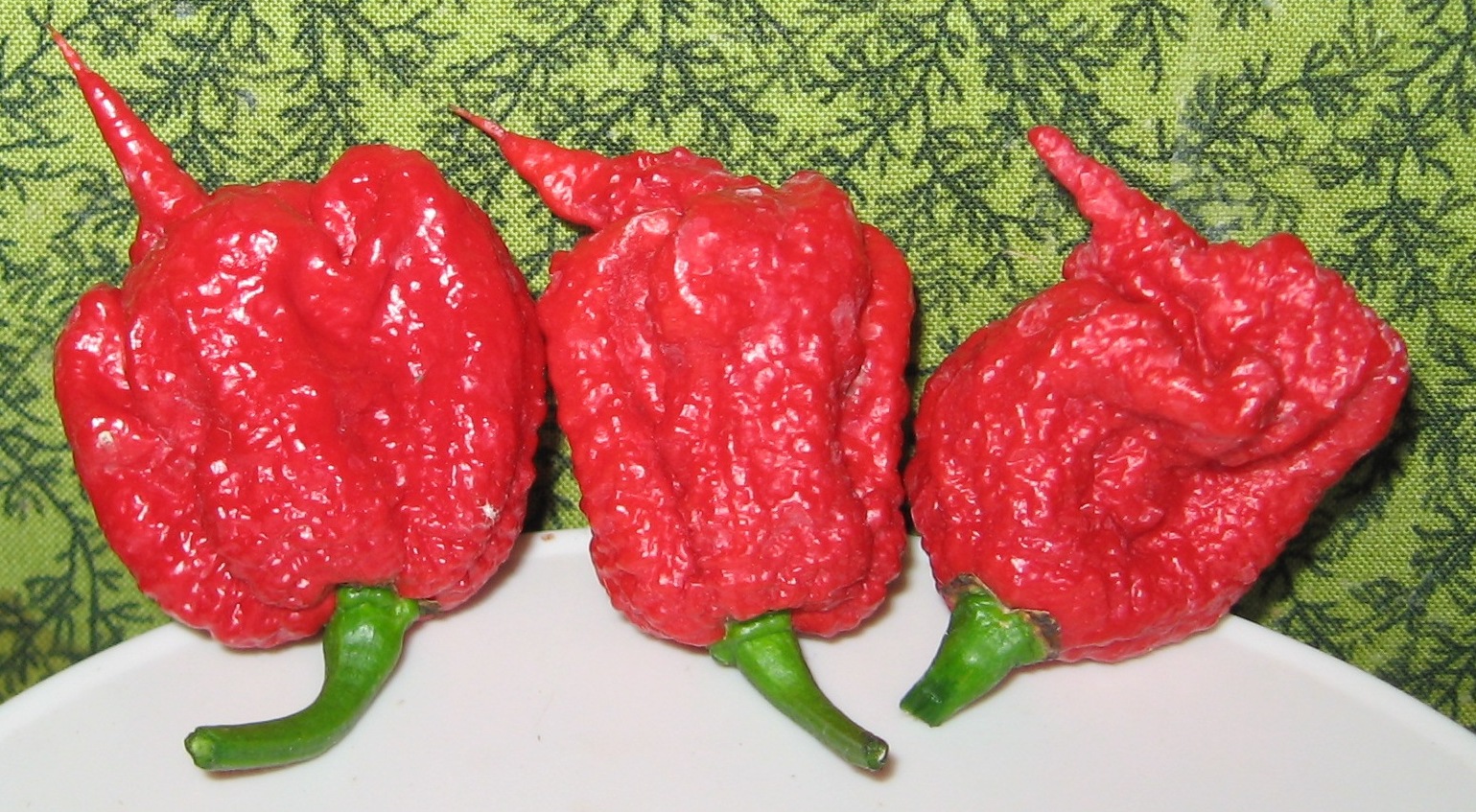 PuckerButt Pepper Co.